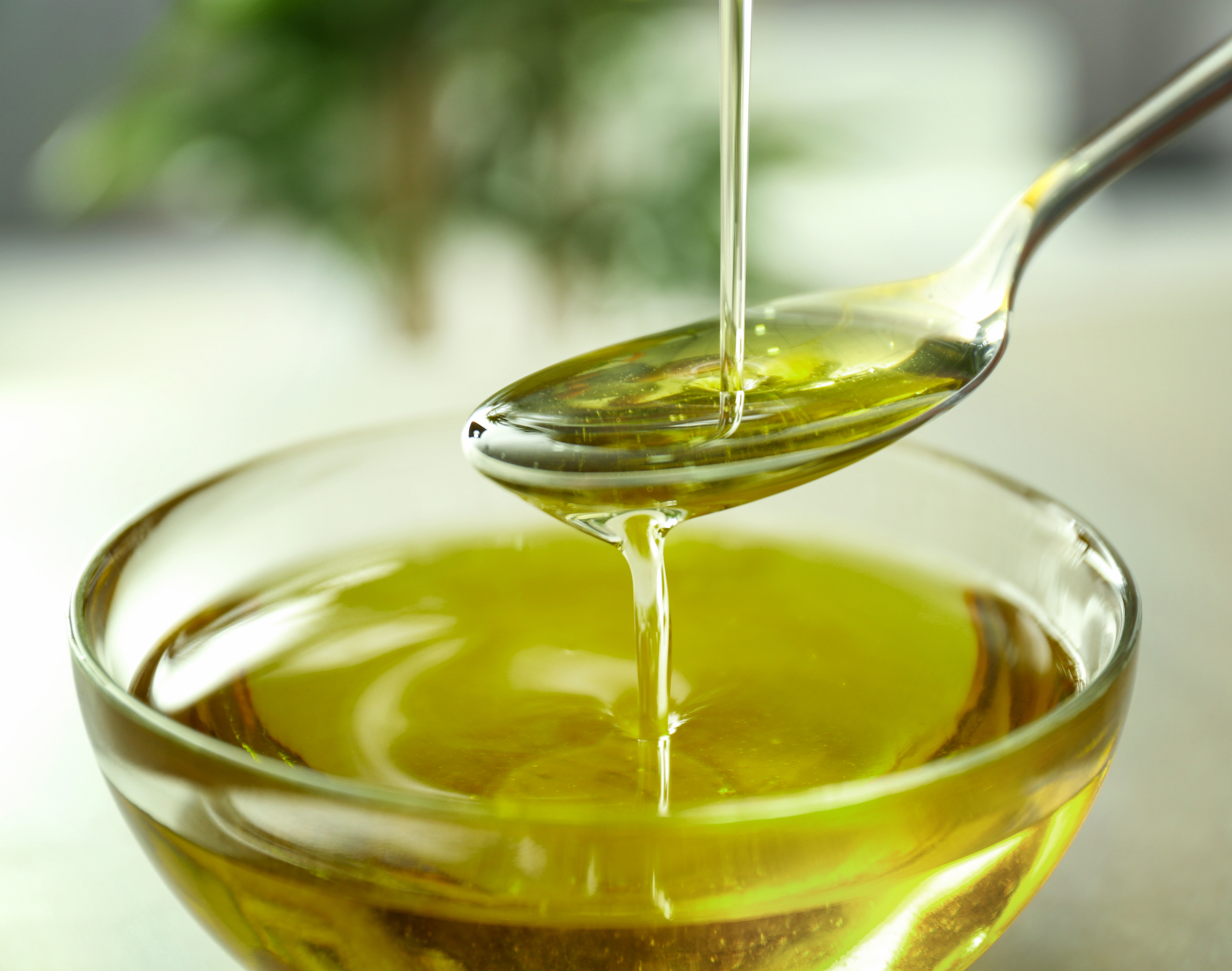 Olivno olje za obraz ima lahko zelo dobre lastnosti